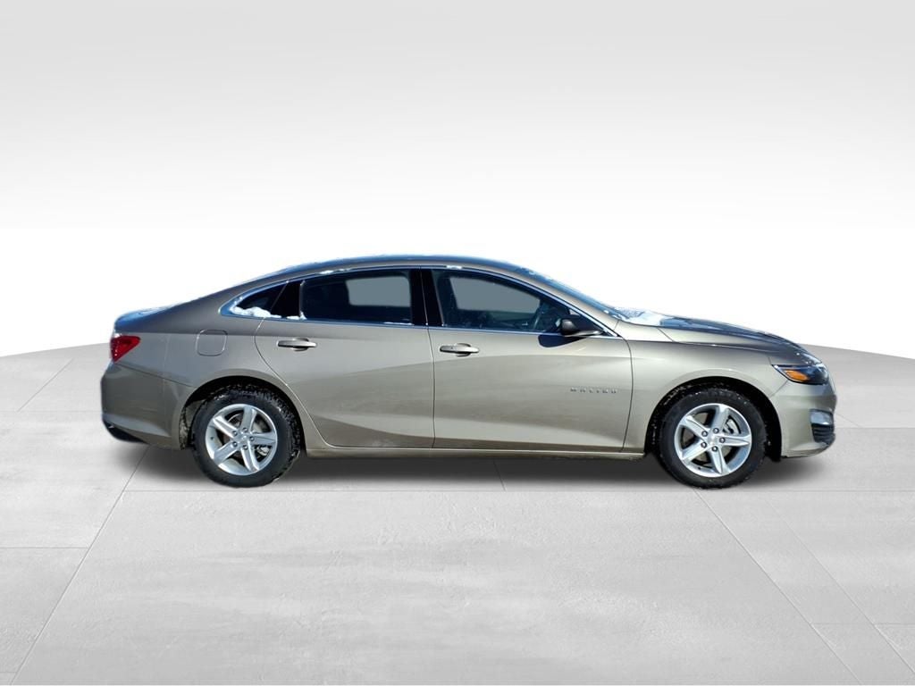 2024 Chevrolet Malibu LS 1FL