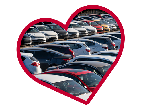 Mohr Selection Heart