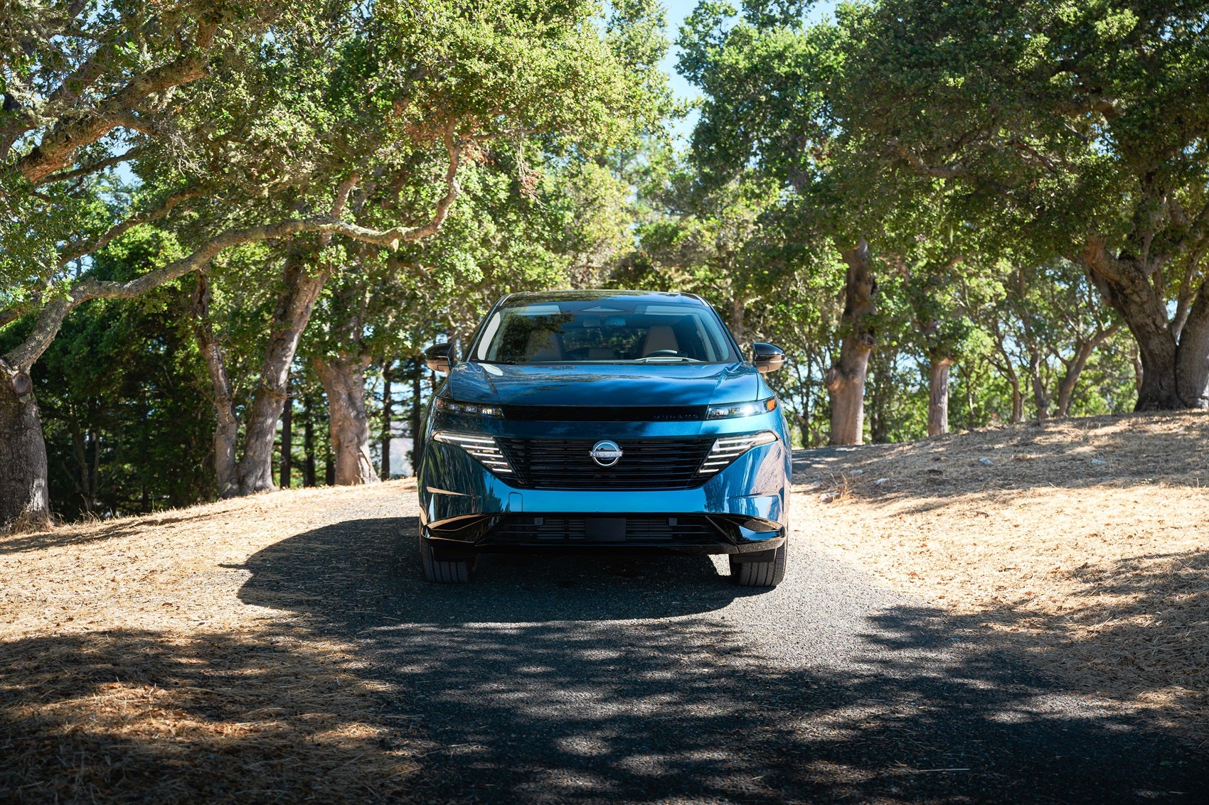 Nissan Dealer Speedway IN